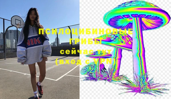 трава Богородицк