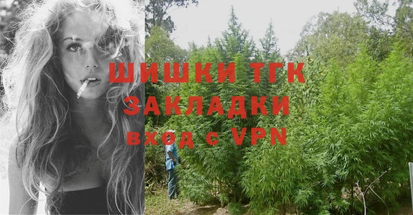 молекула духа Осташков