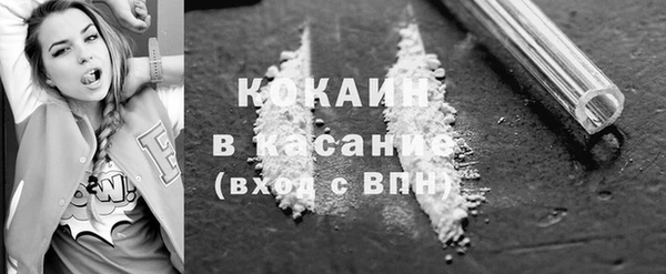мдпв Богданович