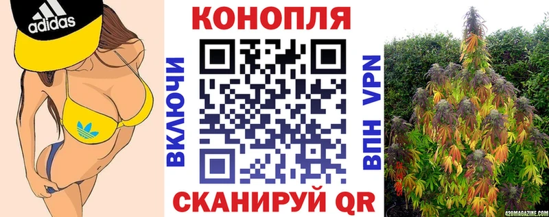 Бошки марихуана MAZAR  купить закладку  Туран 